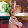 kathybonds467 - @kathybonds467 - TikTok
