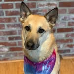 Kathy Bouchard - @mainelyindigothreads - Instagram