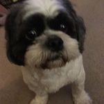Kathy Boucher - @136positive - Instagram