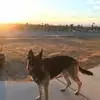 kathyboucherkenle - @kathy.boucher.ken - TikTok