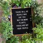 Kathy Braatz - @braatz_kathy - Instagram