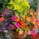 Kathy Braatz - @kathy.braatz - Instagram