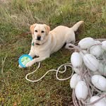 Kathy Bragg - @bragg1893 - Instagram