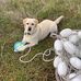 Kathy Bragg - Facebook