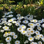 Kathy Brands - @kathybrands - Instagram
