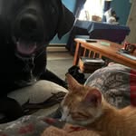 Kathy Brannan - @kathyarchambault - Instagram