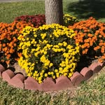 Kathy Brasher - @brasher406 - Instagram