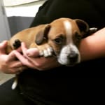 Kathy Brasher Helf - @kathybrasherhelf - Instagram