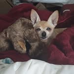 Kathy Twisdale Bratcher - @bratcher7925 - Instagram