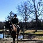 Kathy Breault - @kind_4_the_eye - Instagram