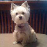 Kathy Breault - @katbreau - Instagram