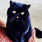 Kathy Breault - @breaultkathy - Instagram