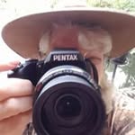 Kathy Bricker - @brickerkathy - Instagram