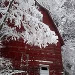 Kathy Bridge - @kathy.b.20 - Instagram