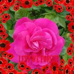 Kathy Bristow - @kathy.bristow1 - Instagram