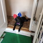 Kathy Bristow-Decker - @kdecker09 - Instagram