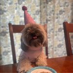 Kathy Kramer Bristow - @kathybristow46 - Instagram
