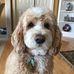 Kathy Broderick - Facebook