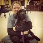 Kathy Broderick - @midlandsdogtrainer1 - Instagram