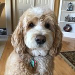 Kathy Broderick - @kbroderick63 - Instagram