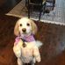 Kathy Broderick - Facebook