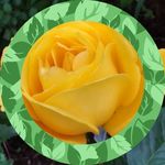 Kathy Brouillette - @kathy.brouillette.1 - Instagram