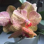 Kathy Brubaker - @brubaker.kathy - Instagram
