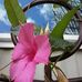 Kathy Brubaker - Facebook