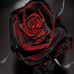 Kathy Brumbaugh - Facebook