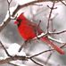 Kathy Brumbaugh - Facebook