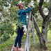Katy Brunet - Facebook