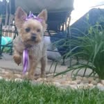 Kathy Buckler - @babies8592 - Instagram