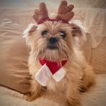 Kathy Bunnell - @bleukitkat - Instagram