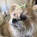 Kathy Bunnell - Facebook