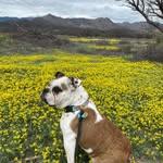 Kathy Burcham - @burcham2you - Instagram