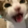 kathy - @kathy..burge - TikTok