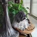 Kathy Barr Burdge - Facebook