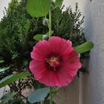 Kathy Burrow - @burrowk47gmailcom - Instagram