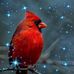 Kathy Buick - Facebook