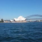 Kathy Thomson - @kathy.butterfly - Instagram