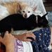 Kathy Buxton - Facebook