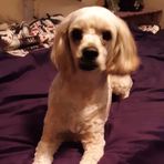 Kathy Byars - Facebook