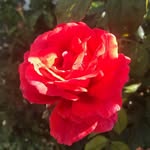 Kathy Bybee - @bybee.k - Instagram
