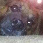 Kathy Byrnes - @kathy.byrnes.528 - Instagram
