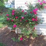 Kathy Byrum - @kathy.byrum - Instagram