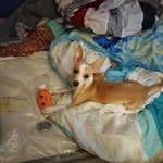 Kathy Cabello - @kathy.cabello.583 - Instagram