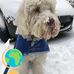 Kathy Cacciola - Facebook