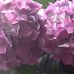 Kathy Cairns - Facebook