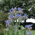 Kathy Cairns - @cairns.kathy - Instagram