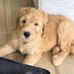 Kathy Calbert - Facebook